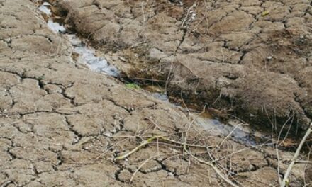 Modernisation du système d’indemnisation des pertes agricoles : le projet de loi entériné