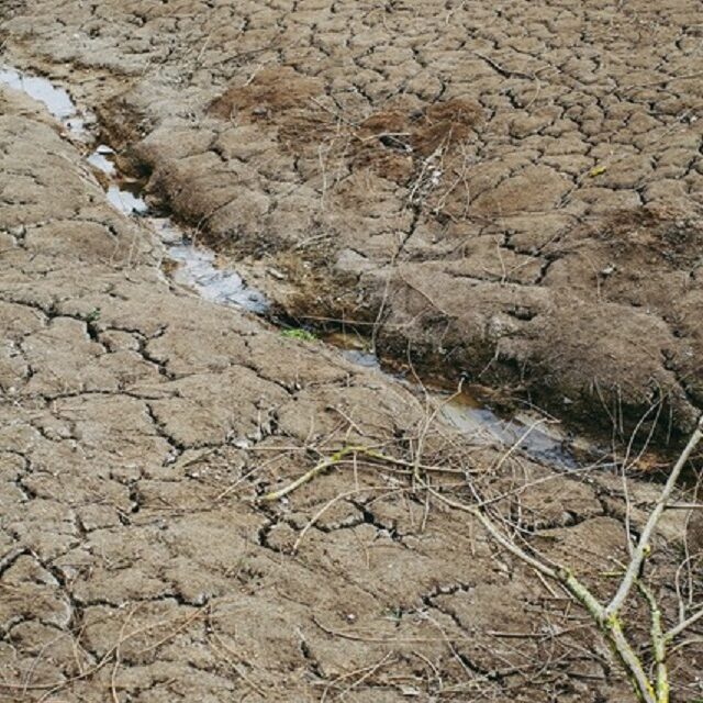 Modernisation du système d’indemnisation des pertes agricoles : le projet de loi entériné