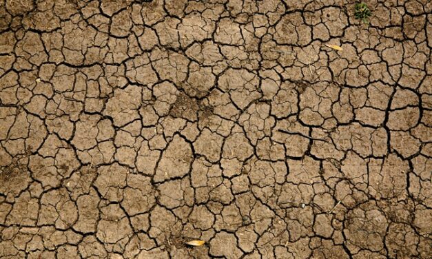 Des mesures d’urgence contre une sécheresse exceptionnelle