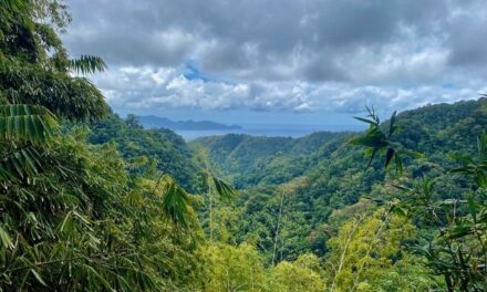 Stratégie nationale biodiversité 2030 : quelle place pour les Outre-mer ?