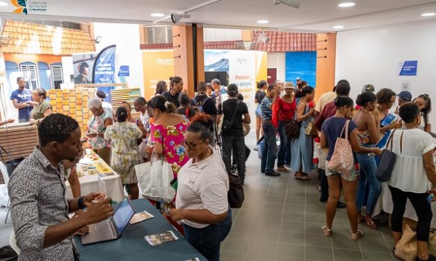 La Martinique labellisée Vallée Régionale de l’innovation