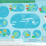 Pontes des tortues marines dans les outre-mer :  diminution sur 31 % des sites fréquentés 