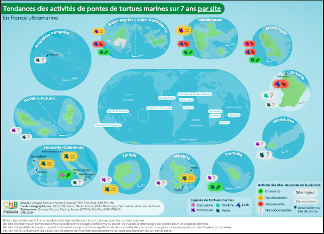 Pontes des tortues marines dans les outre-mer :  diminution sur 31 % des sites fréquentés 