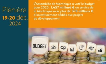 1,457 milliard d’euros : la CTM vote un budget primitif 2025 de « résistance »